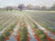 Vineyard: Plein Air