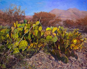 Guale Mesa, Big Bend Ranch State Park