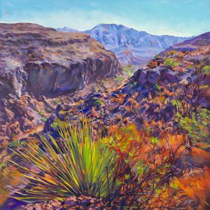 Mexicano Falls, Big Bend Ranch State Park