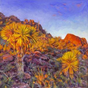 South Leyva Sunset, Big Bend Ranch State Park