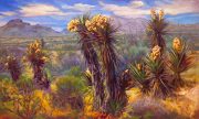 Yucca Family, Photo by Texas Highways