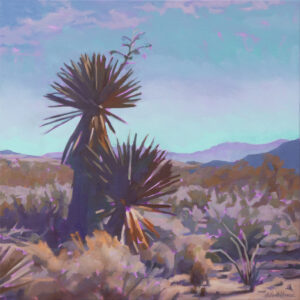 11 - SENTINEL PAIRsml_24x24