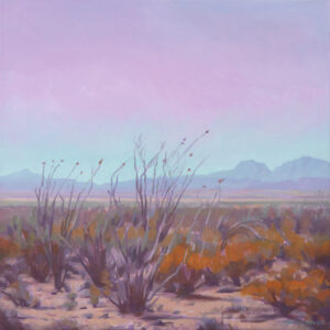 9 - DESERT SKYsml_24x24